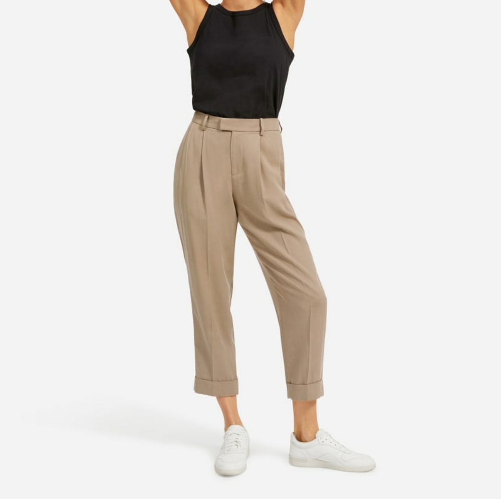 Everlane "The Put Together Pleat Pant